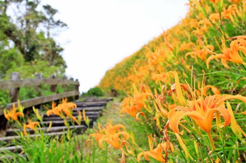 Oriental Hotel ไท่หมาหลี่ ภายนอก รูปภาพ